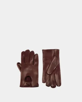 Adrien Brody Travel Collection Gloves In Brown Leather 