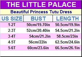 Beautiful Princess Tutu Dress-Priority Shipping