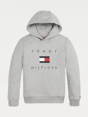 Boys 3-7 Chest Logo Pure Organic Cotton Hoody | Sweatshirts & Hoodies | Tommy Hilfiger