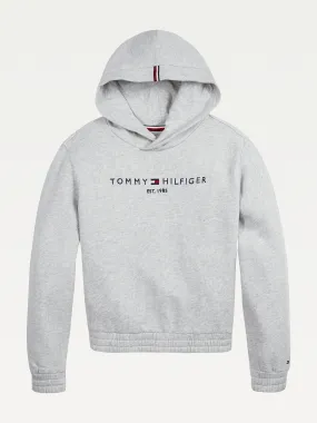 Essential Logo Hoody | Hoodies | Tommy Hilfiger