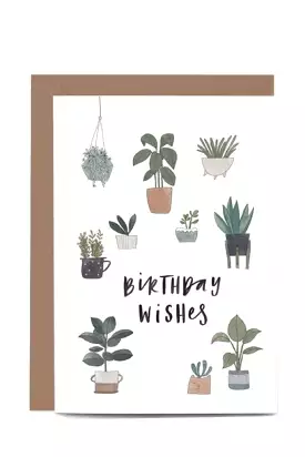 In The Daylight - Birthday Wishes - Potted Plants - Greeting Card