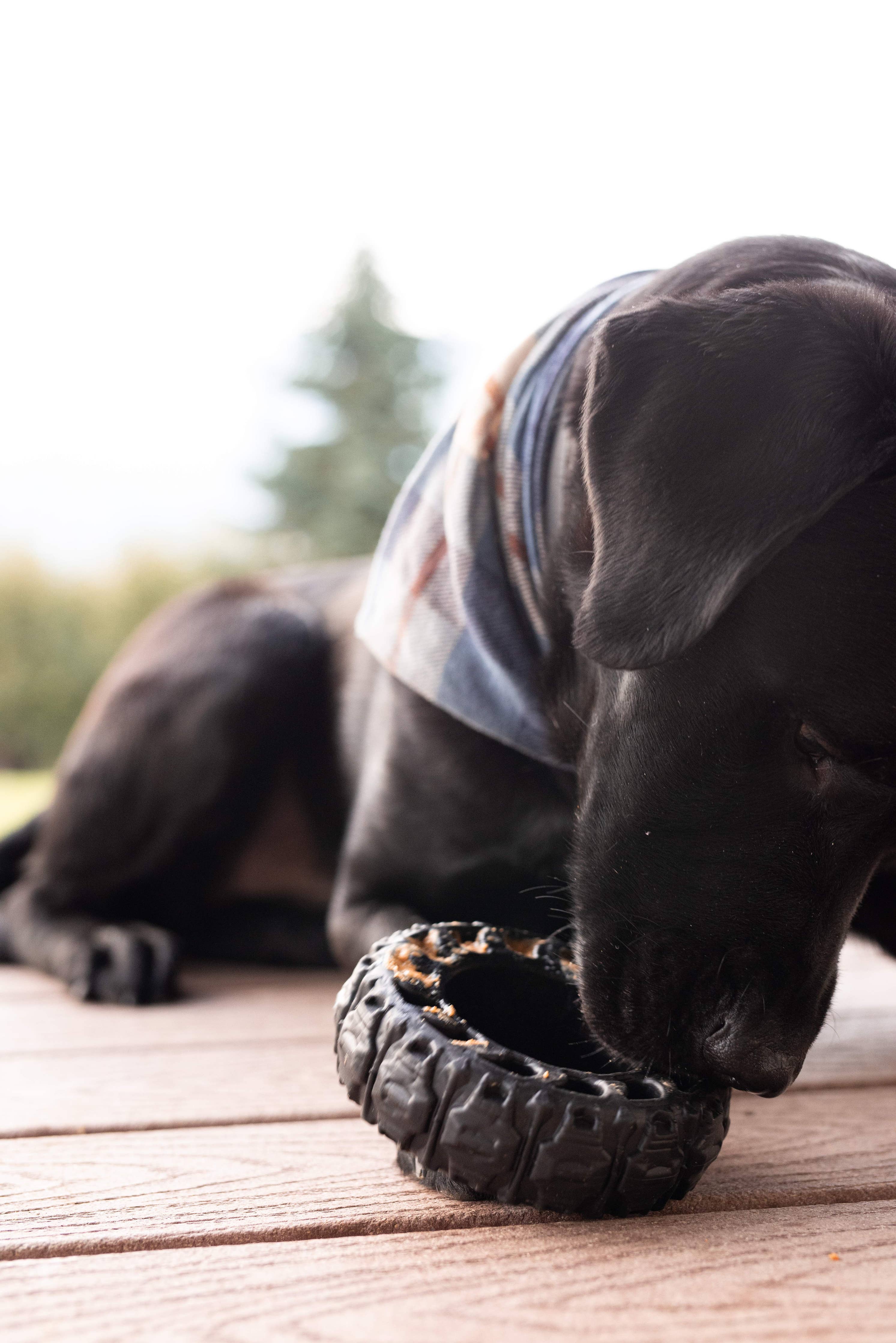 The Tire - Large Reclaimed Rubber Toy - MADE IN THE USA